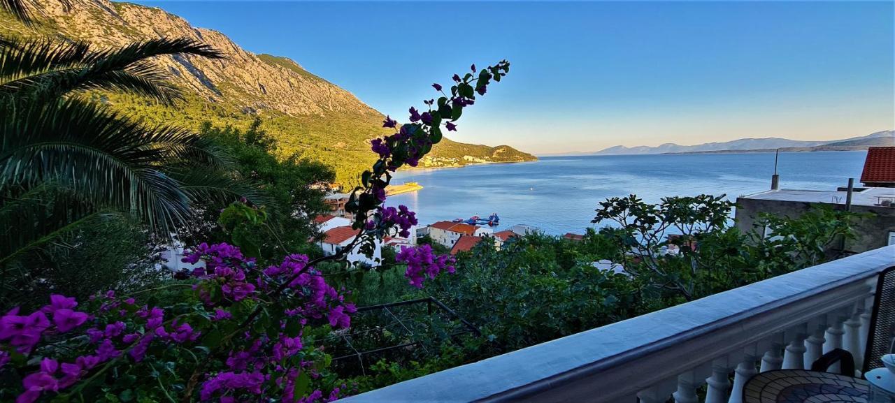 Cosic Apartmani Igrane Luaran gambar